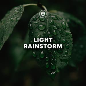Light Rainstorm - Nature Sounds