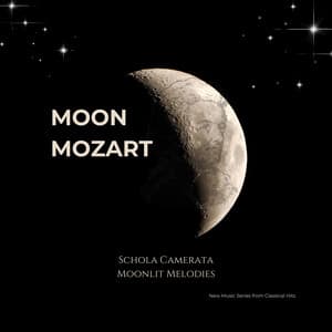 Moon Mozart - Moonlit Melodies - New Music Series From Classical Hits - Classical Hits