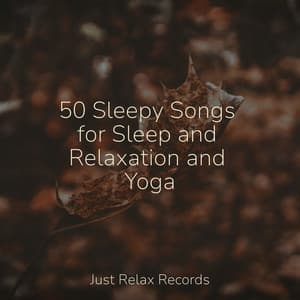 50 Sleepy Songs for Sleep and Relaxation and Yoga - Baby Lullaby