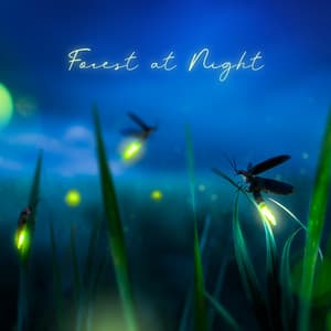 Forest at Night: Relaxing Nature Sounds  with Instrumental Background Music - Deep Sleep Aid - Forest Hills Music Universe