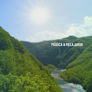 Música a Relajarse - Moonlight Sonata