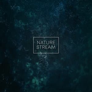 Nature Stream - Rain Recorders