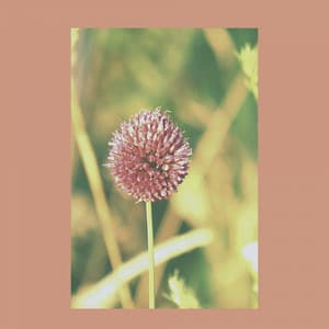 Music for Fresh Spring - Jazz Ballad - Smooth Light Restaurant Music