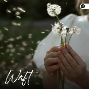 Waft - Essential Nature Sounds