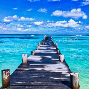 Sleepy Music for Dogs - Sleepy Dogs