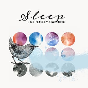 Sleep – Extremely Calming, Relaxing Tracks for Sleeping in the Plane: Nature Sounds - Sleep & Dream Music Academy