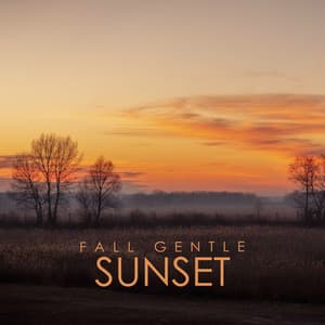 Fall Gentle Sunset: Golden Days Relaxation - Instrumental Music Ensemble