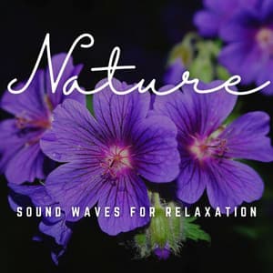 Harmonic Bliss: Sound Waves for Relaxation - Plant Music