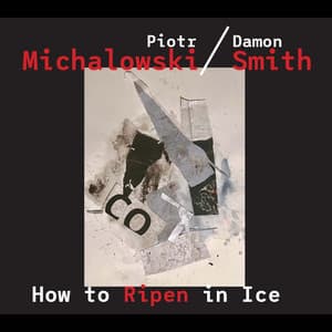 How to Ripen in Ice - Piotr Michalowski