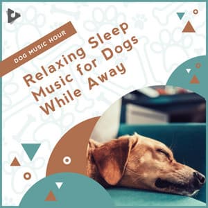 Relaxing Sleep Music for Dogs While Away - Dog Music Hour