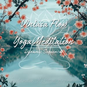 Viniasa Flow Yoga Meditation - Dynamic Sequences - Transformation Meditation Peregrination