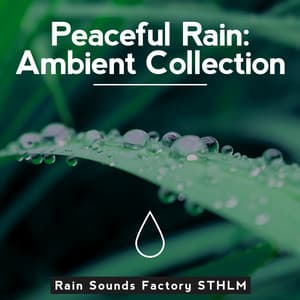 Peaceful Rain: Ambient Collection - Rain Sounds Factory STHLM