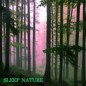 Sleep Nature - Baby Sleep Sounds