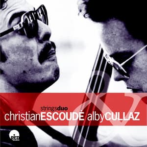 String Duo - Christian Ecoudé &