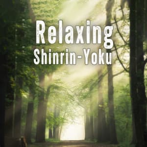 Relaxing Shinrin-Yoku: Profound Connection to Nature, Balance Your Mind and Body - Smoothe Sounds