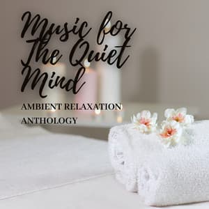 Music for The Quiet Mind: Ambient Relaxation Anthology - Miracle of Silence