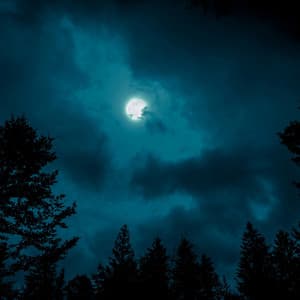 Peaceful Slumber Vibes: Gentle Tunes for Nighttime Calm - Book Shop Music
