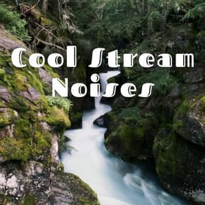 Cool Stream Noises - Relaxing Asian Spa Music