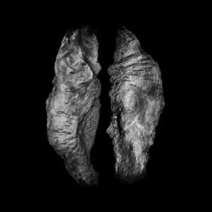 Cause and Effect - SaffronKeira