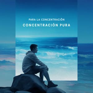 Concentración Pura - Para la concentración