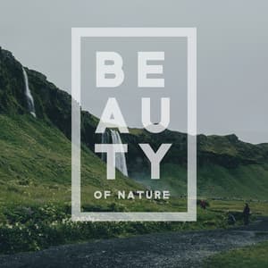 Beauty of Nature. Soothing and Healing Mind Music, Relax Time - Naturopathy Music Collection
