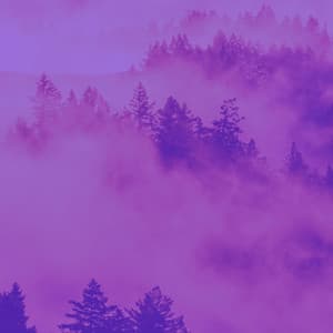 Sensational Bgm for Binaural Sleep - World Recorders