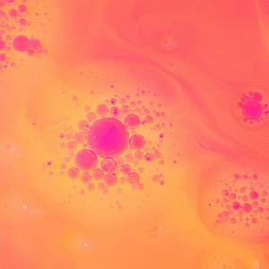 Feelings for Pleasant Homes - Chill Lounge