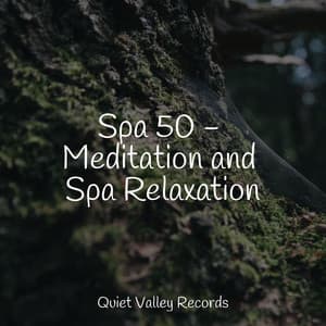 Spa 50 - Meditation and Spa Relaxation - Ocean Sounds
