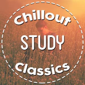 Chillout Study Classics - Beethoven Consort