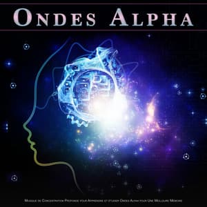 Ondes Alpha : Musique de Concentration Profonde pour Apprendre et étudier Ondes Alpha pour Une Meilleure Mémoire - Ondes Alpha