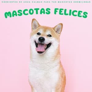 Mascotas Felices: Corrientes De Agua Calmas Para Tus Mascotas Dormilonas - Relajamiento Total para las Mascotas