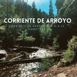 Corriente De Arroyo Junto A La Carretera - Aguas Pura