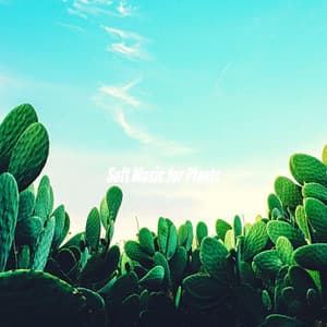 Soft Music for Plants - French Jazz Lounge