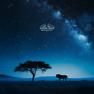 Peaceful Night in Nairobi - African Music Drums Collection