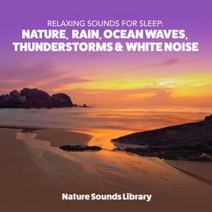 Relaxing Sounds for Sleep: Nature, Rain, Ocean Waves, Thunderstorms & White Noise - Nature Sounds Library