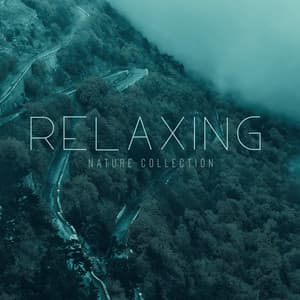 Relaxing Nature Collection. Birds, Forest, Jungle, Water Sounds - Natural Soothing Melodies