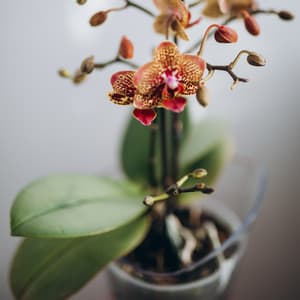 Feel the Nature and Relax - The Natural Healing