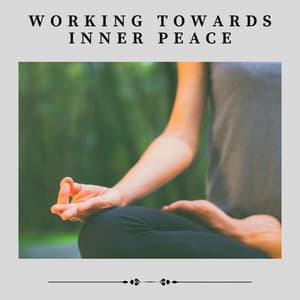 Working Towards Inner Peace - Calming Music Academy