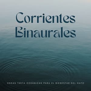 Corrientes Binaurales: Ondas Theta Oceánicas Para El Bienestar Del Gato - Frecuencias Binaurales