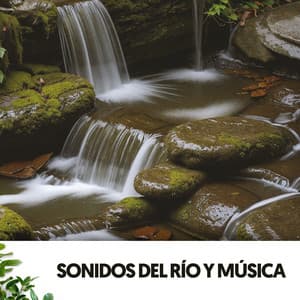 Sonidos del río y música: Sereno deslumbrar - Solfeggio Frequencies 528Hz