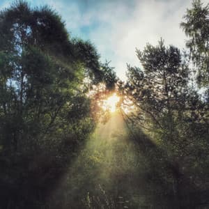 365 Balanced Chakras: States Of Levitation - Spa Music Relaxation