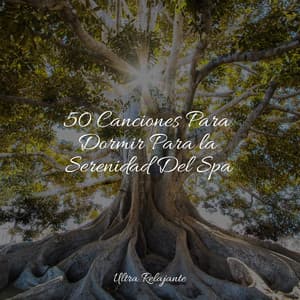 50 Canciones Para Dormir Para la Serenidad Del Spa - Sons da natureza HD