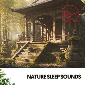 Nature Sleep Sounds: Serene Slumber Symphony - Ruido Blanco Hart
