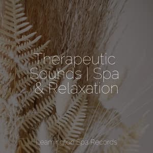 Therapeutic Sounds | Spa & Relaxation - Music to Relax in Free Time