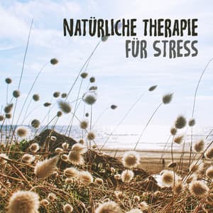 Natürliche Therapie für Stress: Die beste Entspannungsmusik für Meditation, Entspannung, Nachdenken, überwinden Sie Angst mit Naturgeräuschen - Entspannungmusik Academy