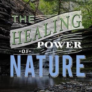 The Healing Power of Nature - The Healing Sounds of Nature