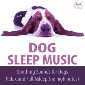 Dog Sleep Music - Soothing Sounds for dogs, relax and fall asleep - Dog Music TA
