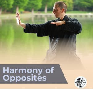 Harmony of Opposites - Yin Yang Man