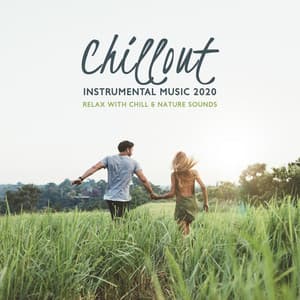 Chillout Instrumental Music 2020, Relax with Chill & Nature Sounds - Chill Out Sounds Collective