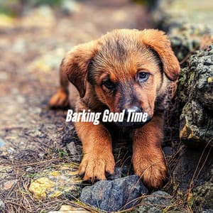 Barking Good Time - Calming Dog Jazz